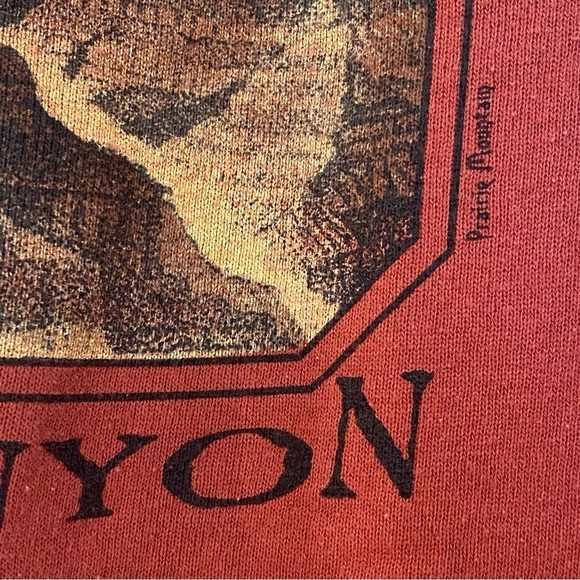 Vintage FRUIT OF THE LOOM Rust Orange Grand Canyon Graphic Sweatshirt Size Large - Picture 3 of 6